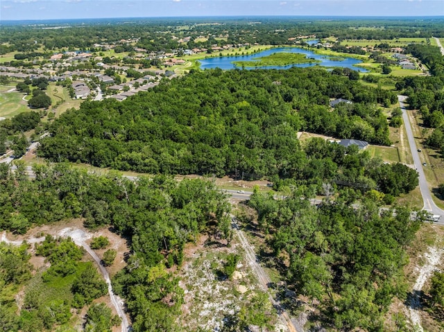LOT1 Hojin St, Sorrento, FL 32776 - photo 10