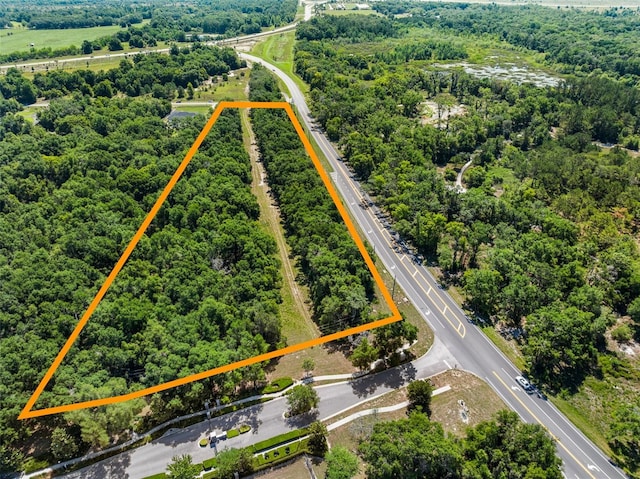 LOT1 Hojin St, Sorrento, FL 32776 - photo 12