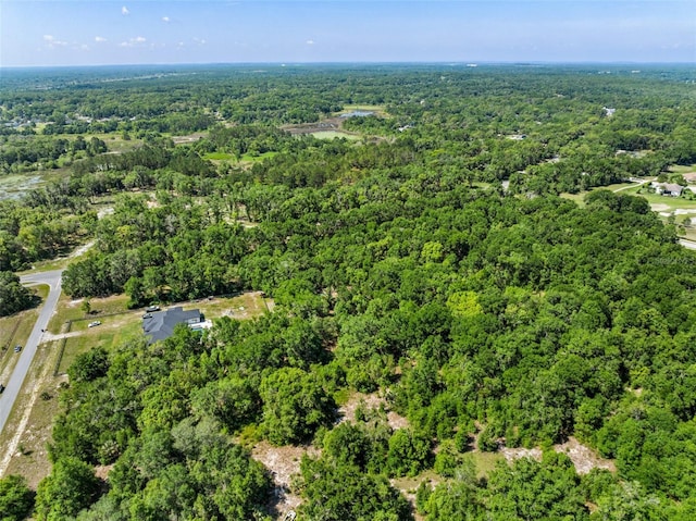 LOT1 Hojin St, Sorrento, FL 32776 - photo 16