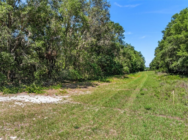 LOT1 Hojin St, Sorrento, FL 32776 - photo 19