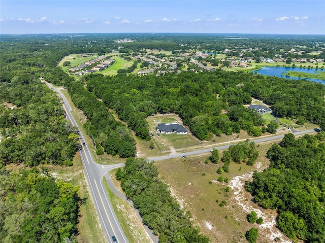 LOT1 Hojin St, Sorrento, FL 32776 - photo 9