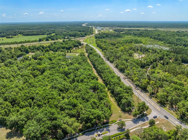 LOT1 Hojin St, Sorrento, FL 32776 - photo 23