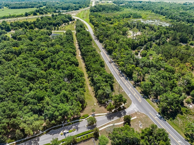 LOT1 Hojin St, Sorrento, FL 32776 - photo 11