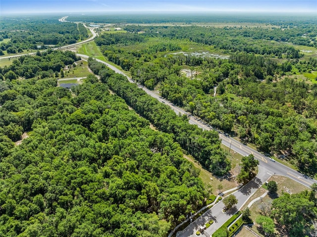 LOT1 Hojin St, Sorrento, FL 32776 - photo 13