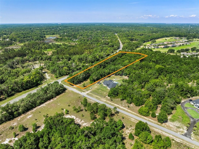 LOT1 Hojin St, Sorrento, FL 32776 - photo 18