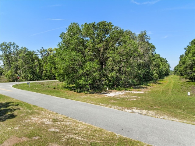 LOT1 Hojin St, Sorrento, FL 32776 - photo 20