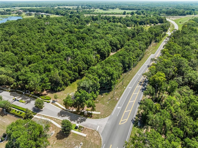 LOT1 Hojin St, Sorrento, FL 32776 - photo 21