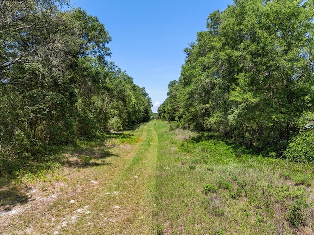 LOT1 Hojin St, Sorrento, FL 32776 - photo 25