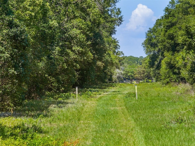 LOT1 Hojin St, Sorrento, FL 32776 - photo 26