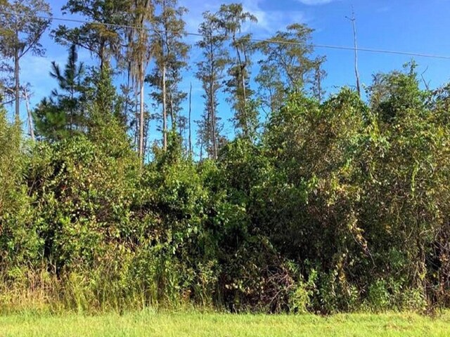 Paddock St, Orlando FL, 32833 land for sale