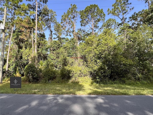 Listing photo 2 for Bronco Dr, Saint Cloud FL 34771