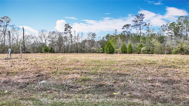 5415 Broad St, Brooksville, FL 34601 - photo 15