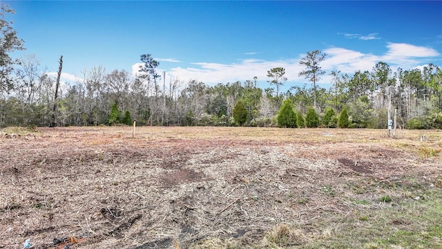 5415 Broad St, Brooksville, FL 34601 - photo 12