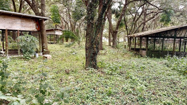 770 Snow Hill Rd, Geneva, FL 32732 - photo 7