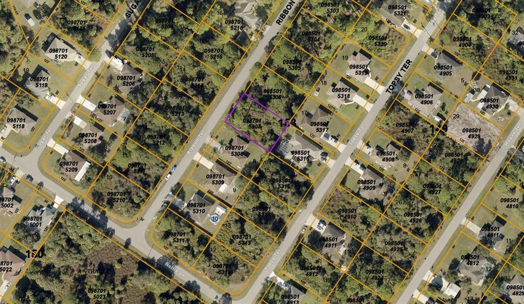 Ribbon Ter, North Port, FL 34286