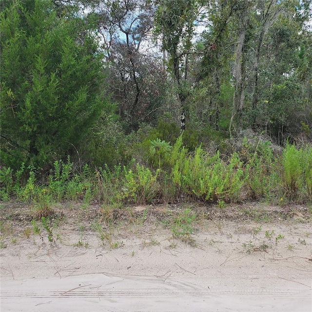 NE 66th Ln, Williston FL, 32696 land for sale