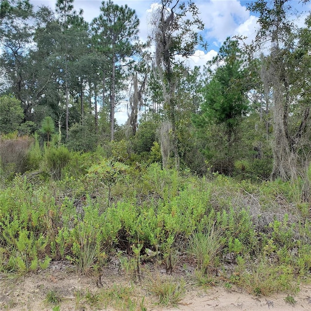 Listing photo 3 for NE 66th Ln, Williston FL 32696