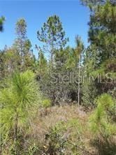 Salyers Rd, Clermont FL, 34714 land for sale