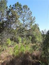 Listing photo 3 for Salyers Rd, Clermont FL 34714