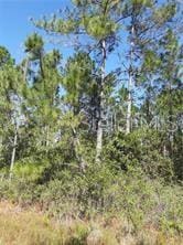 S Fork Ranch Dr, Clermont FL, 34714 land for sale