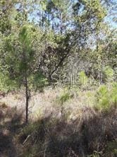 Water Rd, Groveland FL, 34736 land for sale