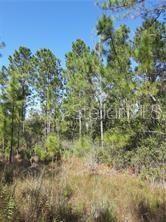 Salyers Rd, Clermont FL, 34714 land for sale