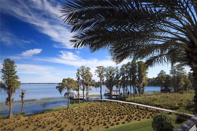 view of water feature featuring a boat dock