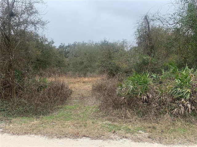 Pocahontas Dr, Dade City FL, 33523 land for sale