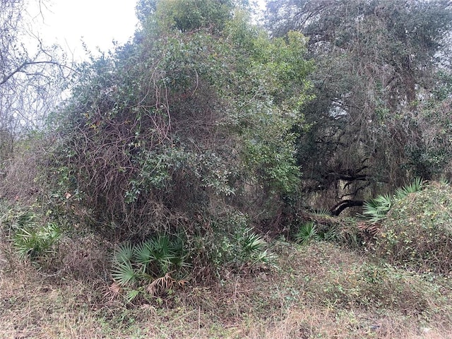 Listing photo 3 for Pocahontas Dr, Dade City FL 33523