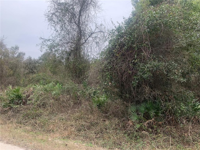 Listing photo 4 for Pocahontas Dr, Dade City FL 33523