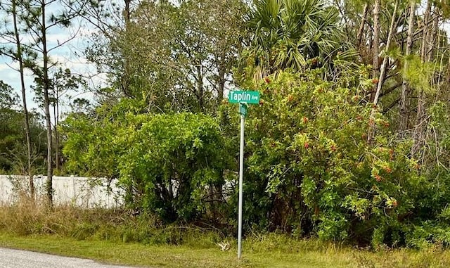 Taplin Ave, North Port FL, 34291 land for sale