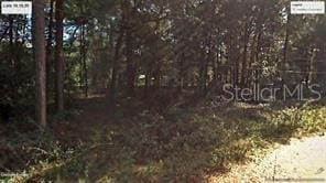 NW 136th Ct, Dunnellon FL, 34432 land for sale