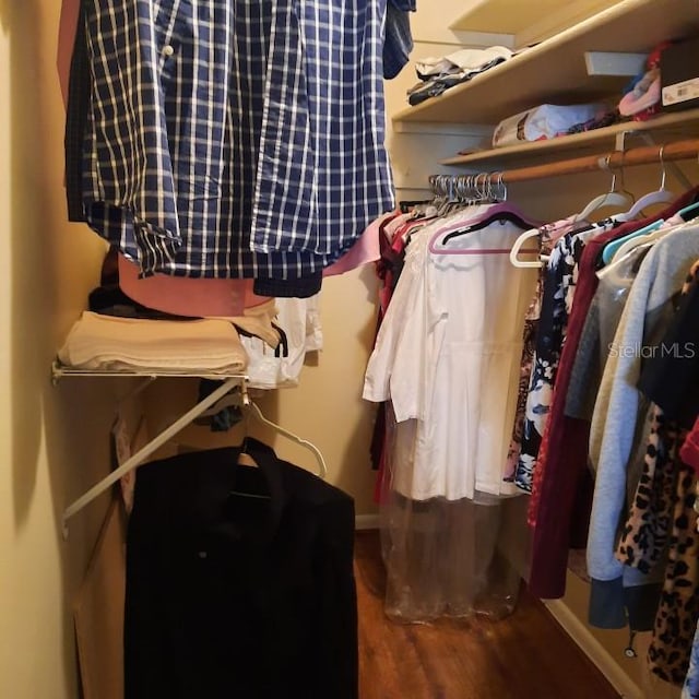 walk in closet featuring dark hardwood / wood-style flooring