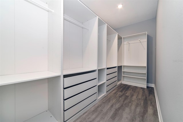 walk in closet with dark hardwood / wood-style floors