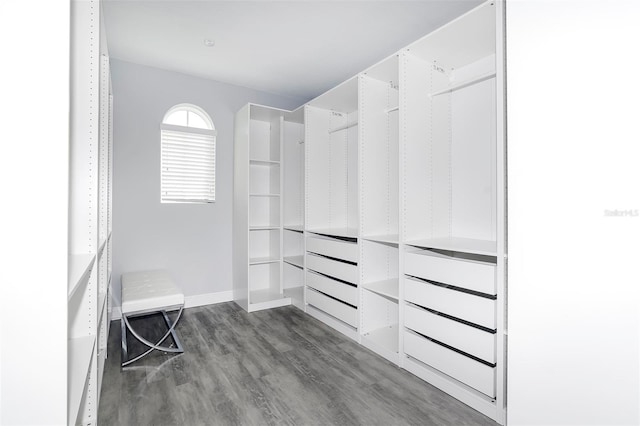 walk in closet featuring light hardwood / wood-style floors