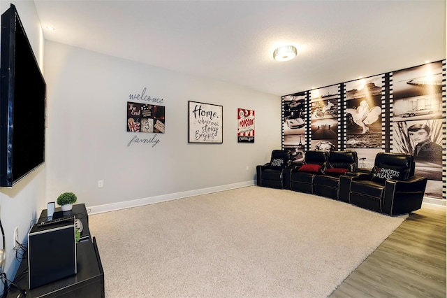 home theater featuring light carpet