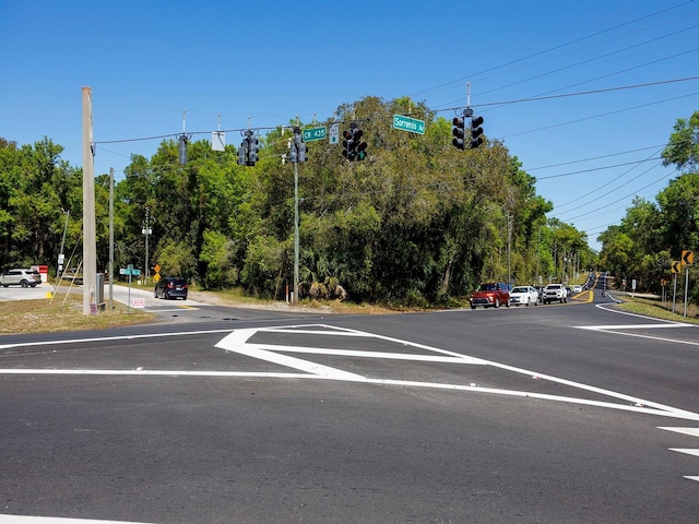 Niles St, Mount Plymouth, FL 32776 - photo 6