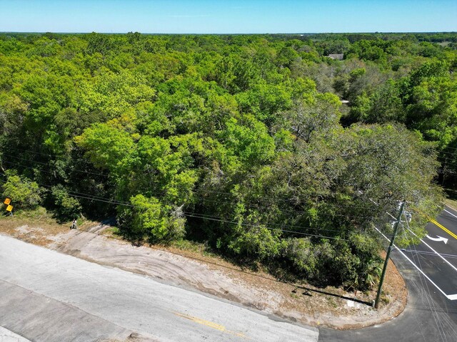 Niles St, Mount Plymouth, FL 32776 - photo 4