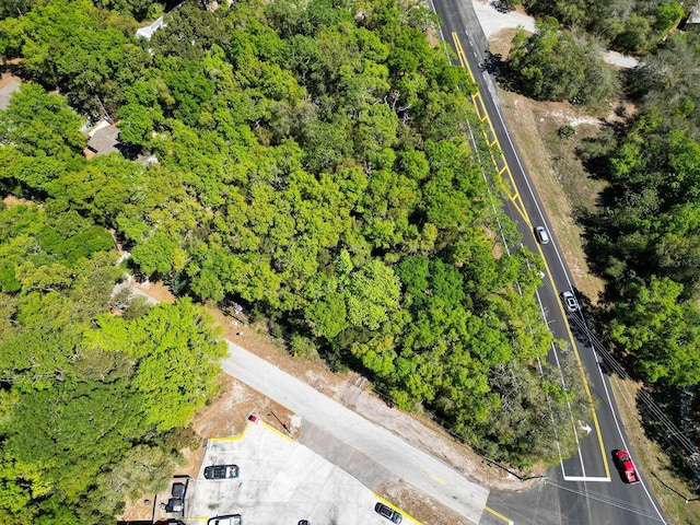 Niles St, Mount Plymouth, FL 32776 - photo 5