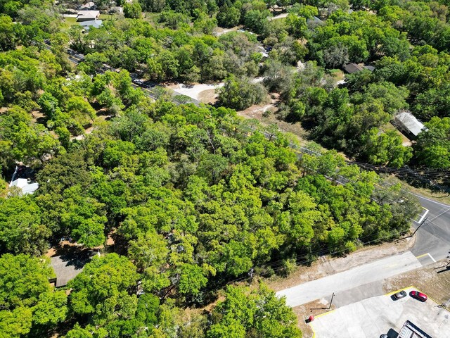 Niles St, Mount Plymouth, FL 32776 - photo 7