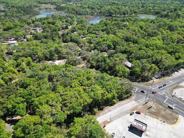 Niles St, Mount Plymouth, FL 32776 - photo 8
