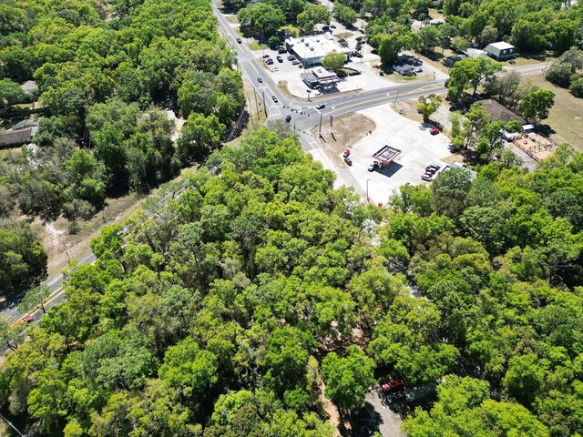 Niles St, Mount Plymouth, FL 32776 - photo 9