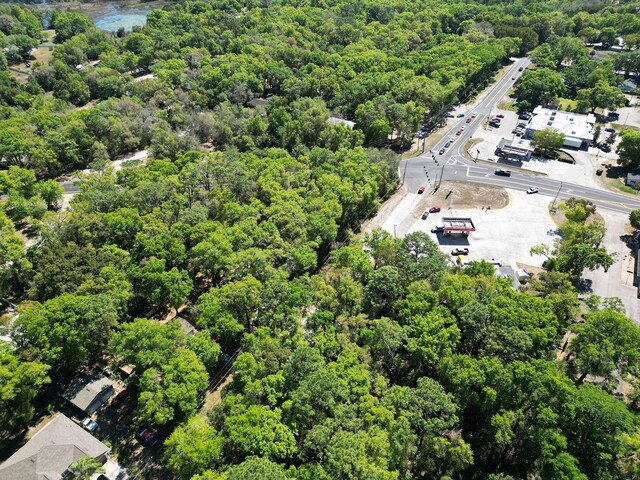 Niles St, Mount Plymouth, FL 32776 - photo 12