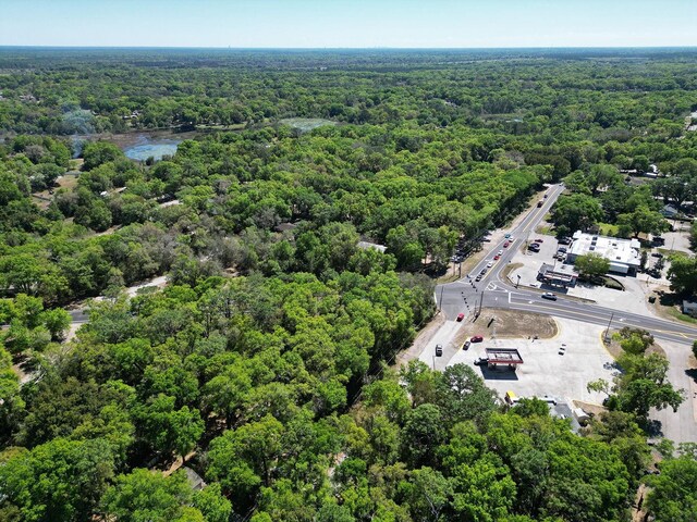 Niles St, Mount Plymouth, FL 32776 - photo 13