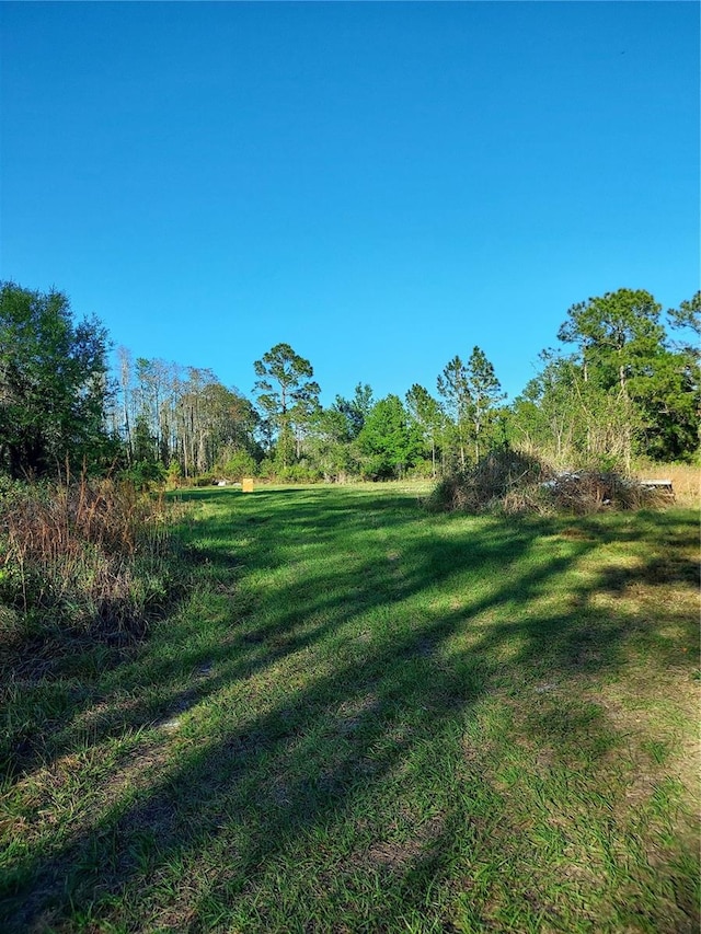 00 E Osceola Rd, Geneva FL, 32732 land for sale