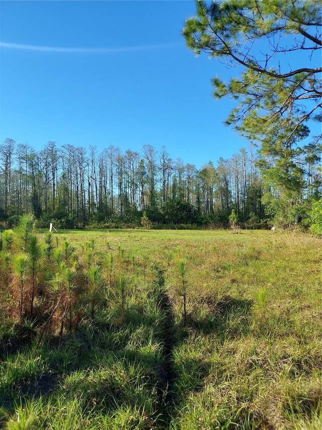 Listing photo 3 for 00 E Osceola Rd, Geneva FL 32732