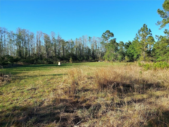 00 E Osceola Rd, Geneva, FL 32732 - photo 4