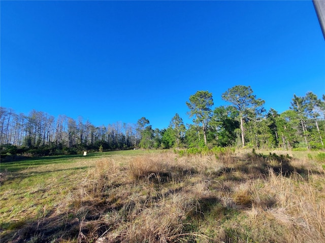 00 E Osceola Rd, Geneva, FL 32732 - photo 5