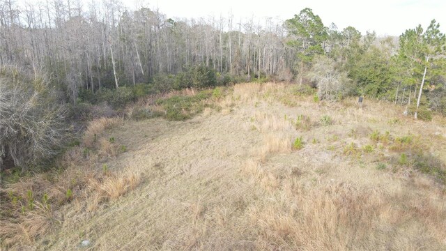 00 E Osceola Rd, Geneva, FL 32732 - photo 7