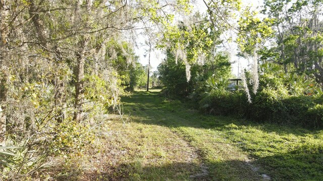 00 E Osceola Rd, Geneva, FL 32732 - photo 8